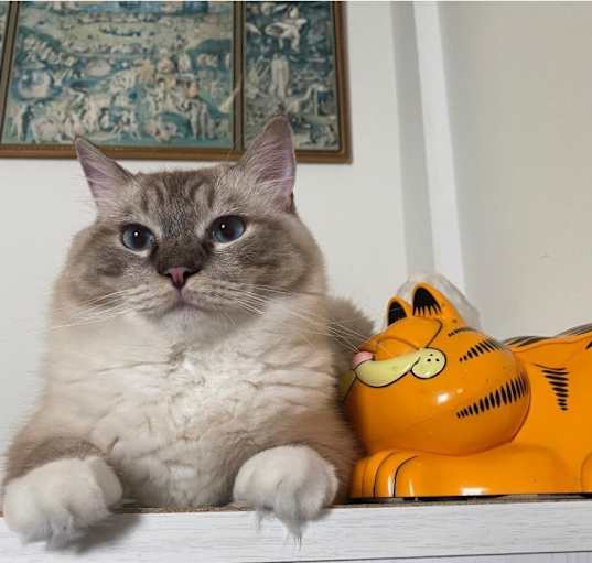 Photo of Kira