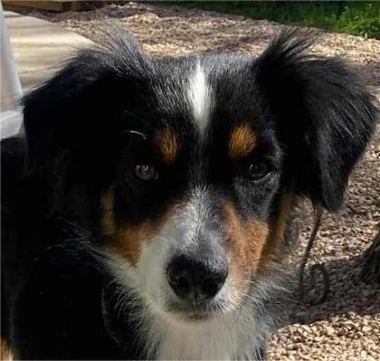 Photo of Lucy