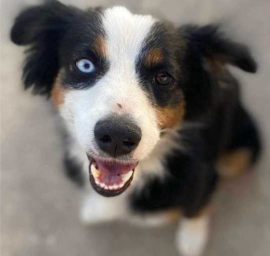 Photo of Dorothy