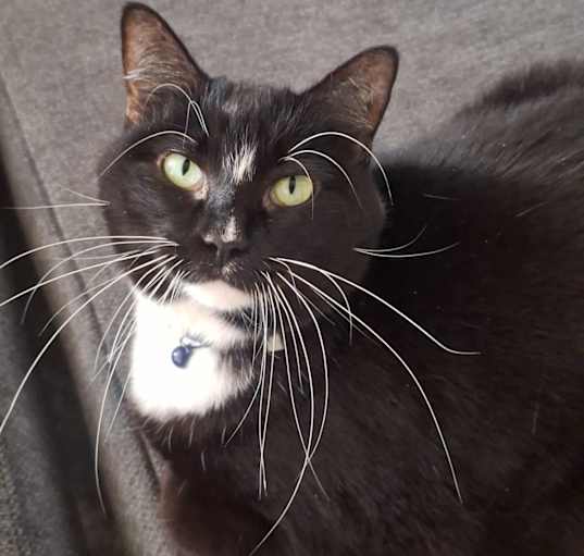 Photo of Cassie