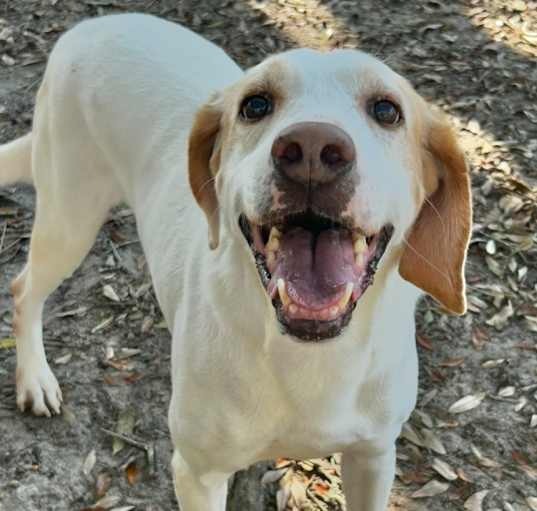 Photo of Duke
