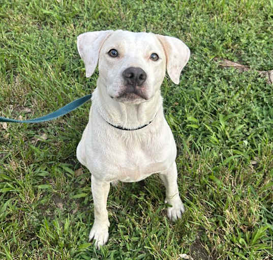Photo of Casper