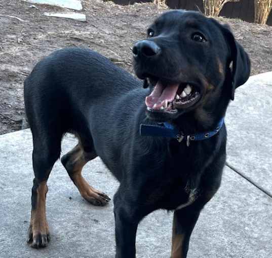 Photo of Maximus