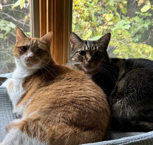 Photo of Chloe and Camille