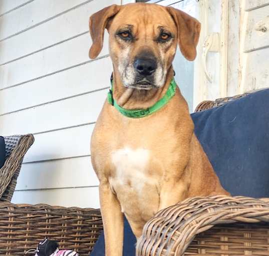 Photo of Daisy Mae
