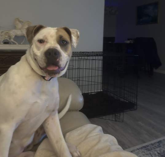 Photo of Winnie