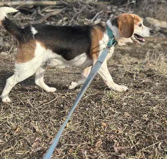 Photo of Jethro