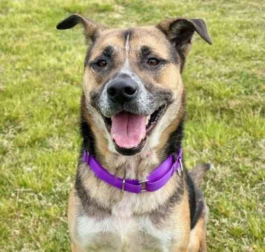 Photo of Buddy