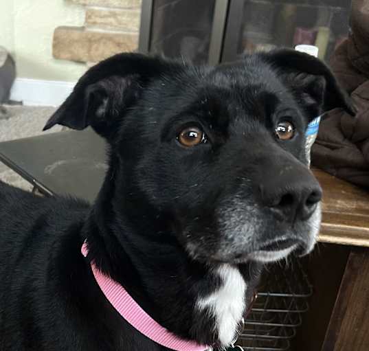 Photo of Gabby