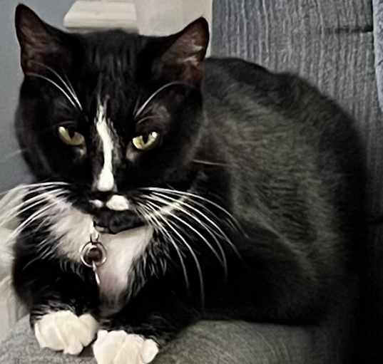 Photo of Rosie