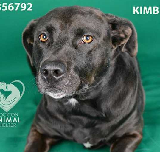 Photo of KIMBERLY