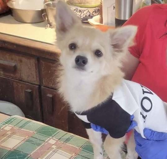 Photo of Jet