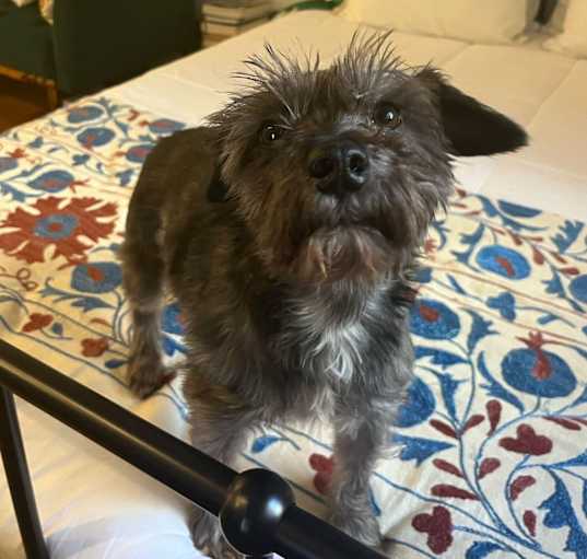Photo of Thelma