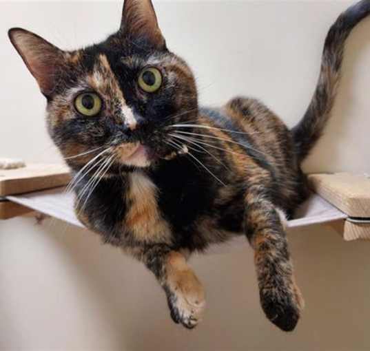 Photo of Mitzi