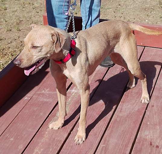 Photo of OLIVE