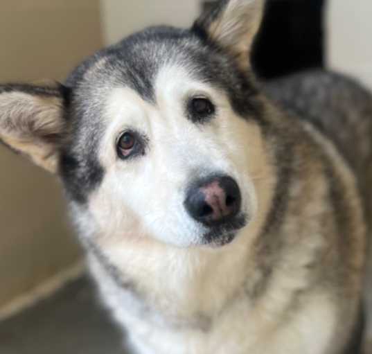 Photo of Maya