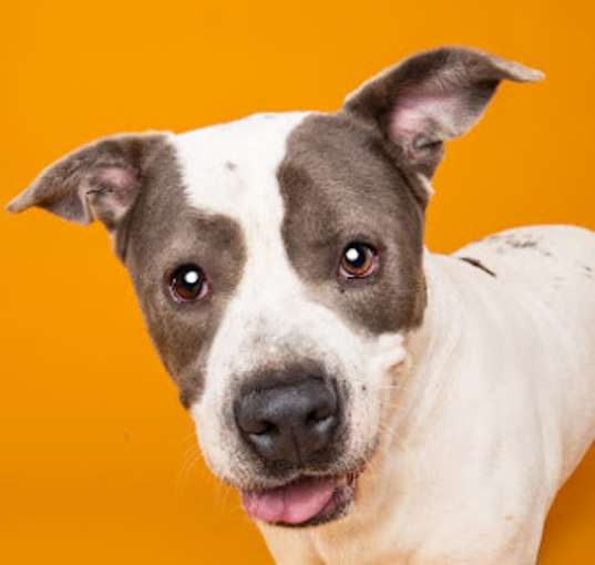 Photo of SAMPSON