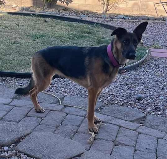 Photo of Addie (Adaline)