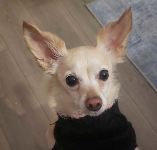 Photo of Keko