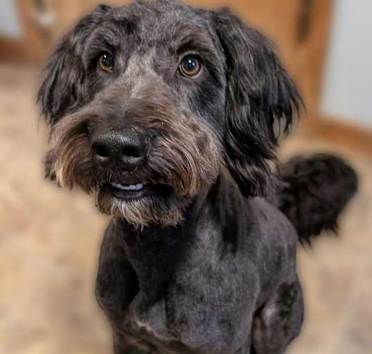 Photo of Uno