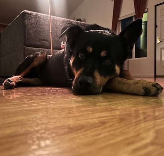 Photo of Zuko