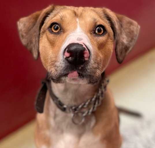 Photo of Duke