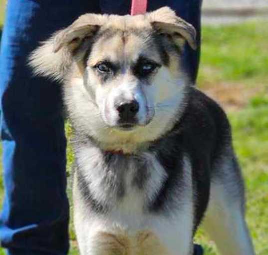 Photo of DUKE