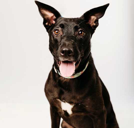 Photo of Zuki