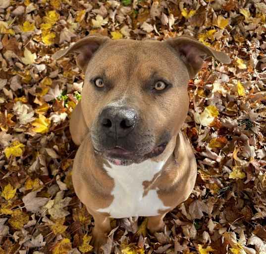 Photo of Zeus