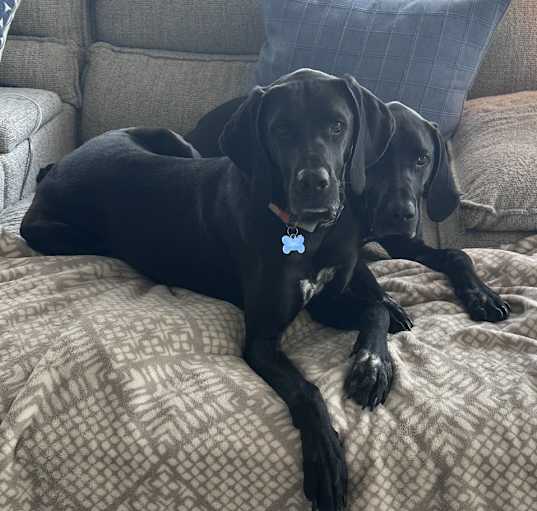 Photo of Jackson and Bubba