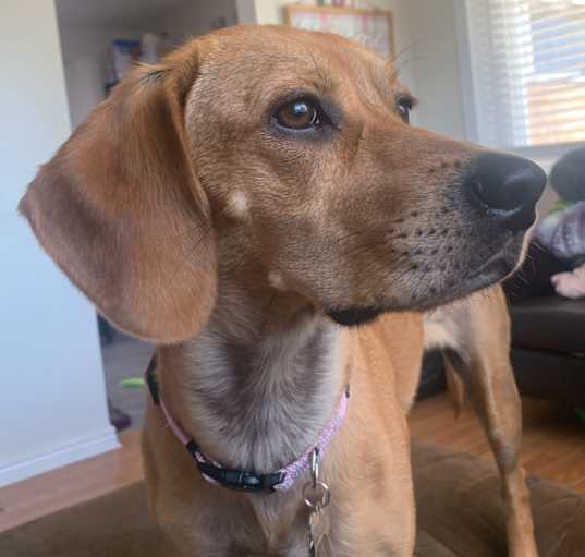 Photo of Mia