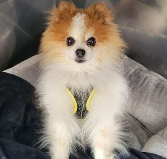 Photo of Steve