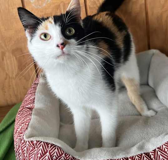 Photo of Wendy