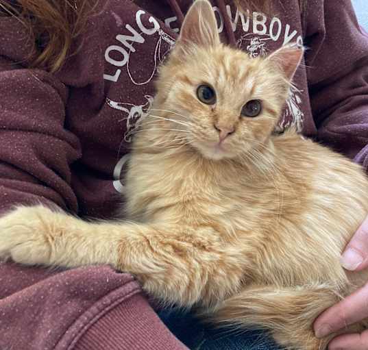 Photo of Fuzz