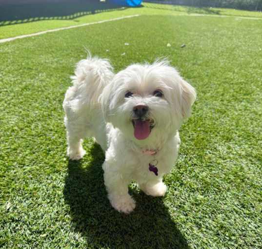 Photo of Julie