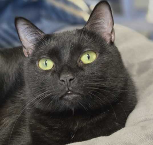 Photo of Ruby