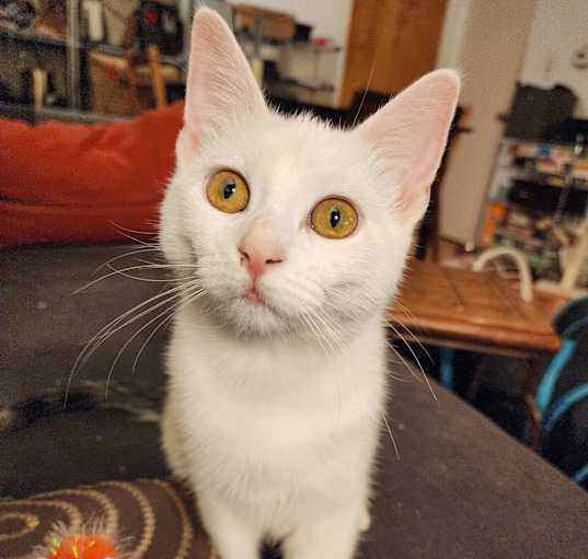 Photo of Aspen