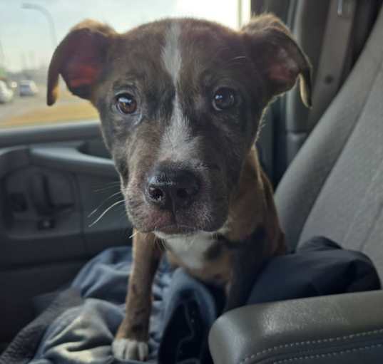 Photo of Leroy