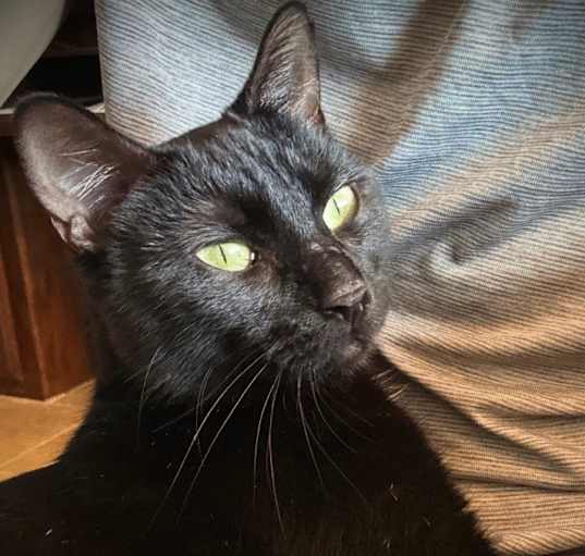 Photo of Jenny