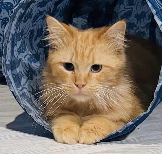 Photo of Sunny