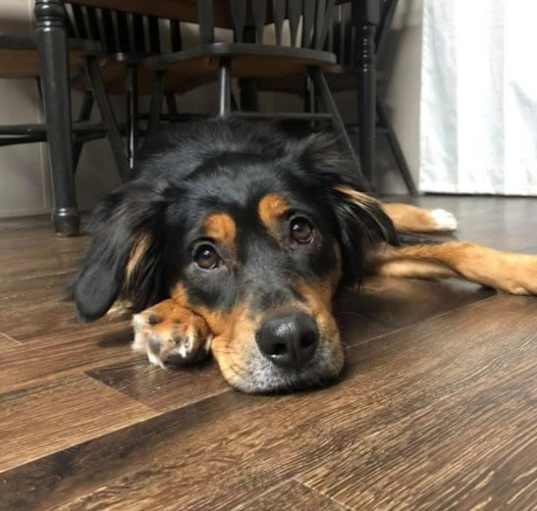 Photo of Ellie