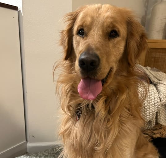 Photo of Bodie