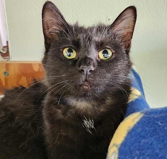 Photo of Elsa