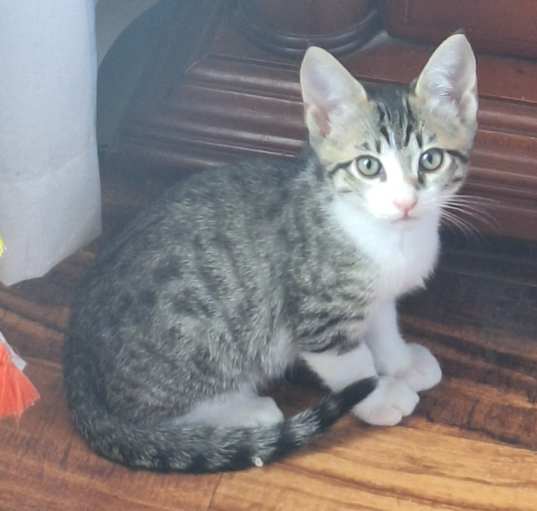 Photo of Vitani
