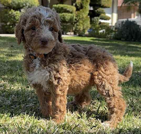 Photo of Zoe
