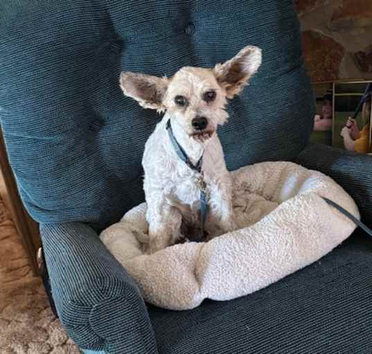 Photo of Poco