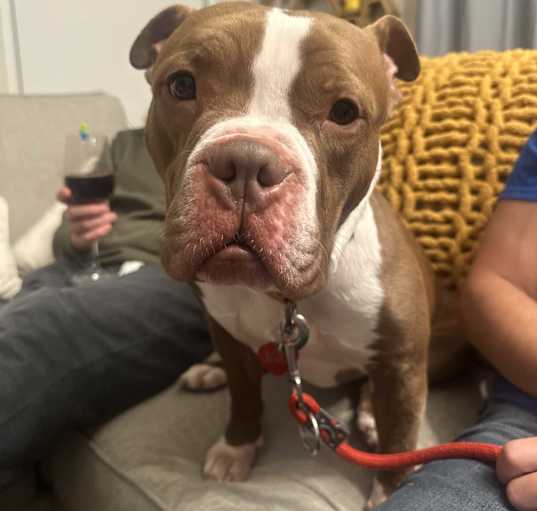 Photo of Percy