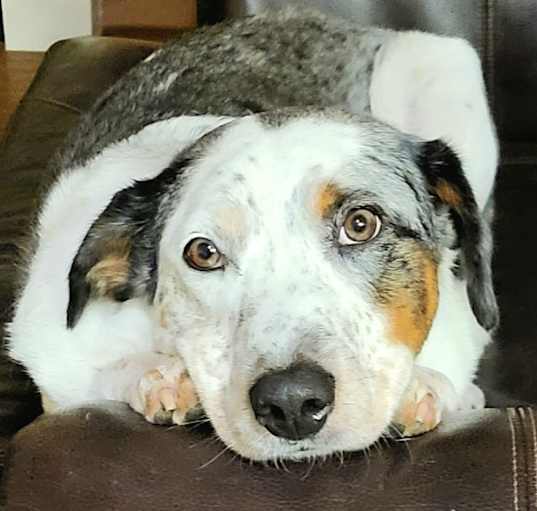 Photo of Jake