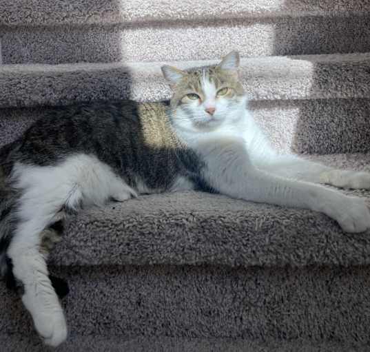 Photo of Kiki
