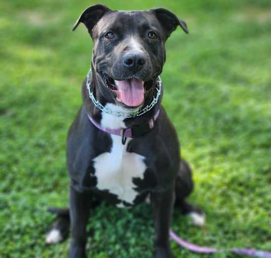Photo of Lucy